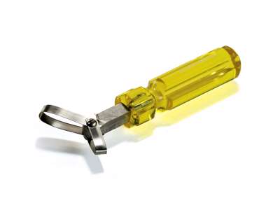 Extracto de médula espinal