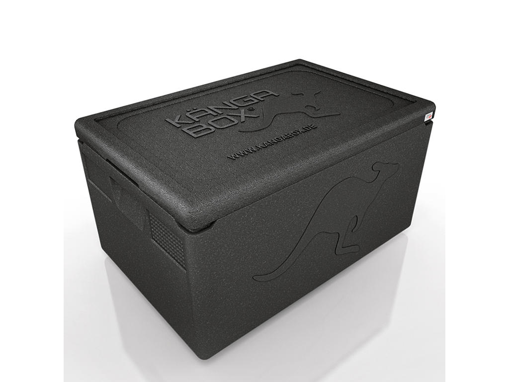 Kängabox Termobox 1/1 GN Negro 48L