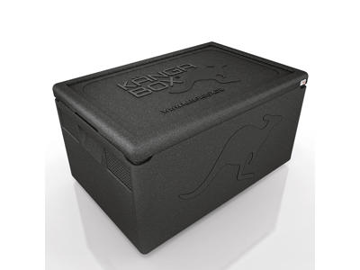 Kängabox Termobox 1/1 GN Negro 48L