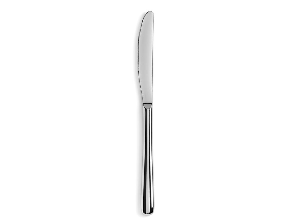 Cuchillo Postre Brillante 21 cm Acero inoxidable Courchevel