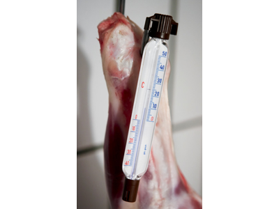 Termómetro para cámara frigorífica ovalado